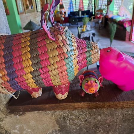 Planta Glamp Farm Hotel Santa María Huatulco Eksteriør billede