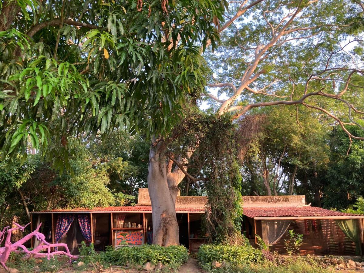 Planta Glamp Farm Hotel Santa María Huatulco Eksteriør billede