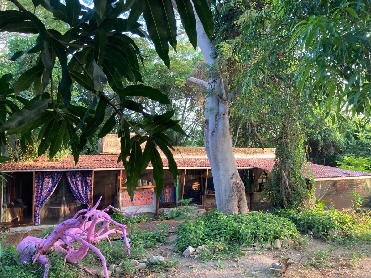 Planta Glamp Farm Hotel Santa María Huatulco Eksteriør billede
