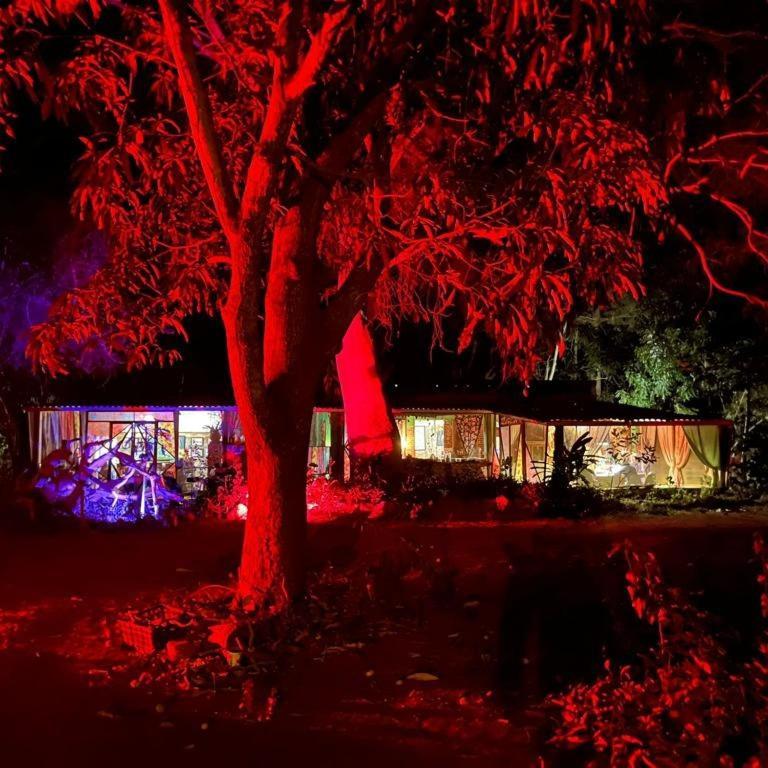 Planta Glamp Farm Hotel Santa María Huatulco Eksteriør billede