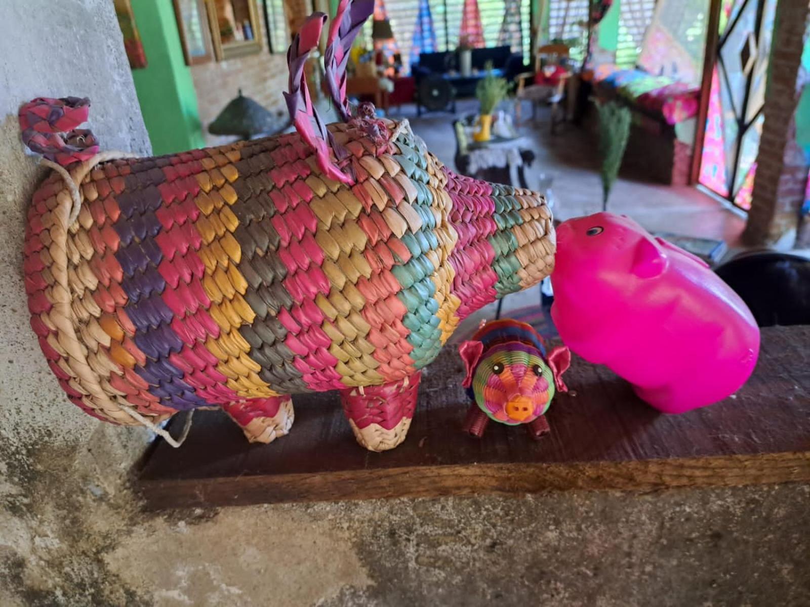 Planta Glamp Farm Hotel Santa María Huatulco Eksteriør billede